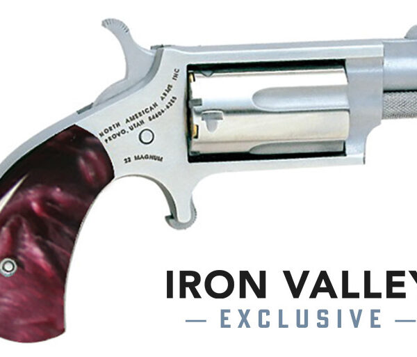 NAA Mini .22 WMR SA Revolver 1.125in Stainless Purple Pearl Grip 5rd