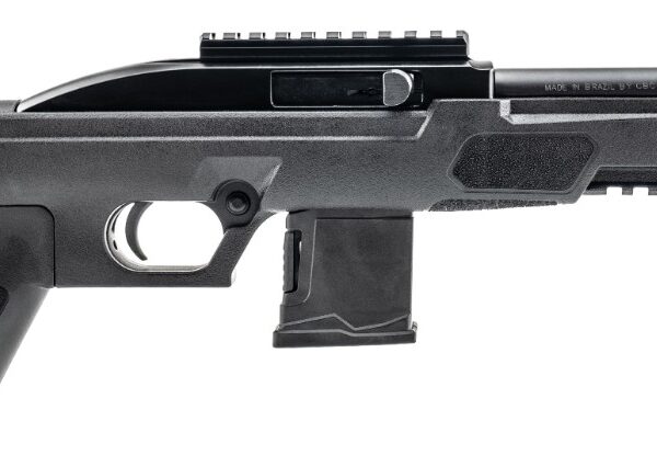 RS22P .22LR 6″ TB Pic RL Blk 10-rd