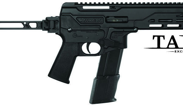 Diamondback DBX57 5.7x28mm Semi-Auto Pistol 8″ Brace Black 30rd