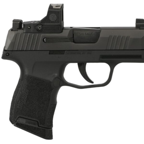 SIG Sauer P365 9mm Luger Striker-Fired 10+1
