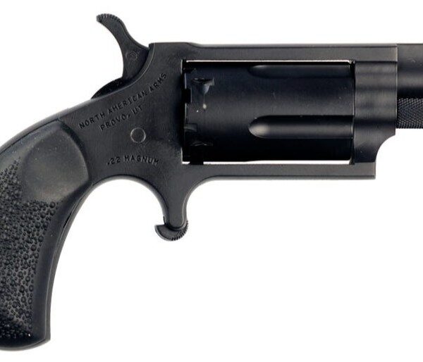 NAA Mini-Shadow .22 WMR SA Revolver 1.125in Black Stainless 5rd