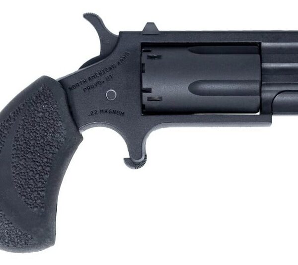 NAA Mini Pug .22 LR/.22 WMR SA Revolver 1in Black White Dot 5rd