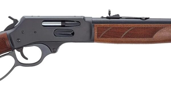 Henry Provider .38-55 Win Lever-Action Rifle 20″ Blued Walnut 6-rd