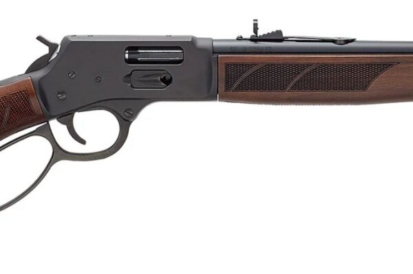 Henry Provider .44 Mag Lever-Action Rifle 20″ Blued Walnut 10-rd