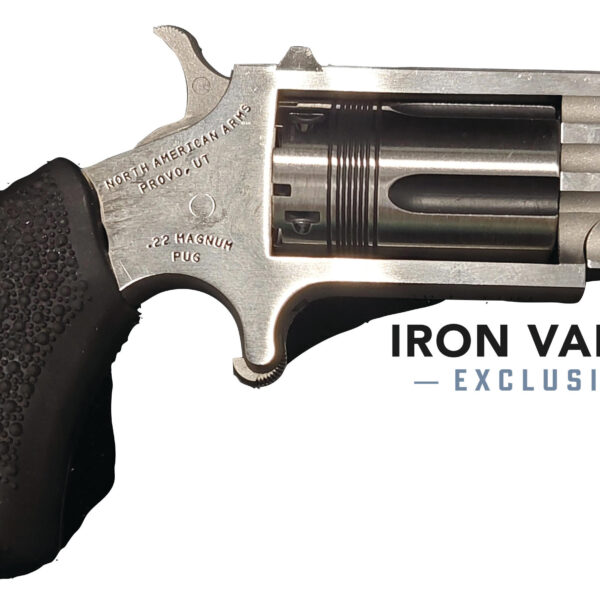 NAA Pug .22 WMR SA Revolver 1in Stainless WASP Cylinder Dot 5rd