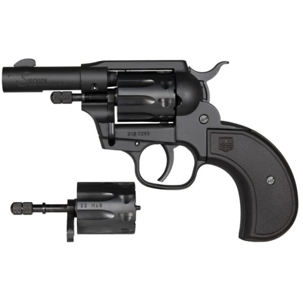 Diamondback DB Birdshead Sidekick Revolver 22 LR/Mag 3 in. Black 9 rd.