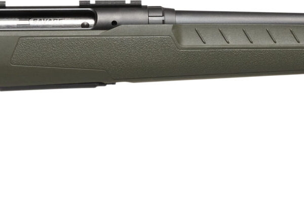 Savage Arms Axis 2 Compact Bolt-Action Rifle .308 Win 20″ OD Green