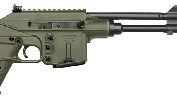 PLR-16 223Rem 9.2″ Grn as 1/10 Semi-Auto Firearm GnomeArms FFL