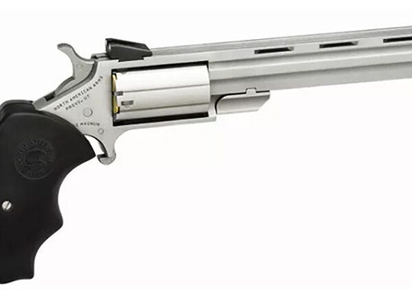 NAA Mini-Master .22 WMR/.22 LR Combo SA 4in VR Stainless FS 5rd