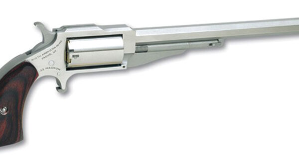NAA 1860 Earl .22 WMR/.22 LR Combo SA Revolver 6in Stainless 5rd