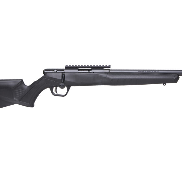 Savage Axis .17 HM2 16.25″ Synthetic Bolt-Action Rifle