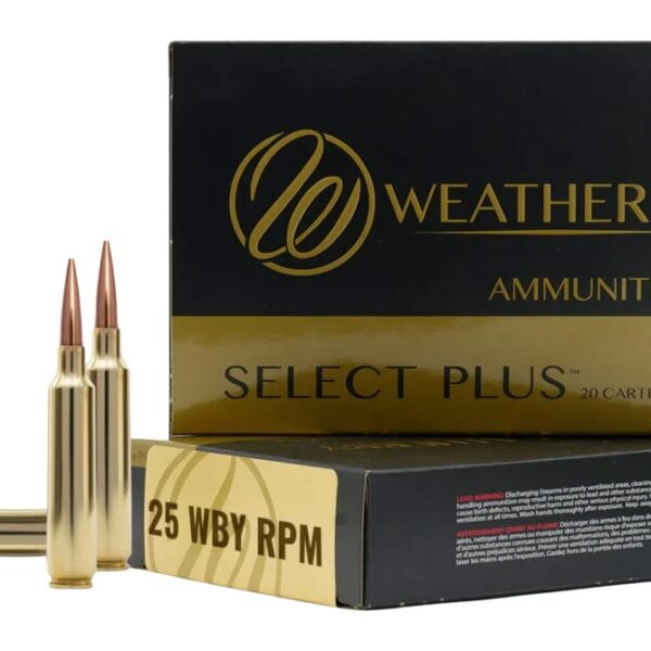 WEATHERBY 25WBY RPM 107GR HAMMER CUSTOM