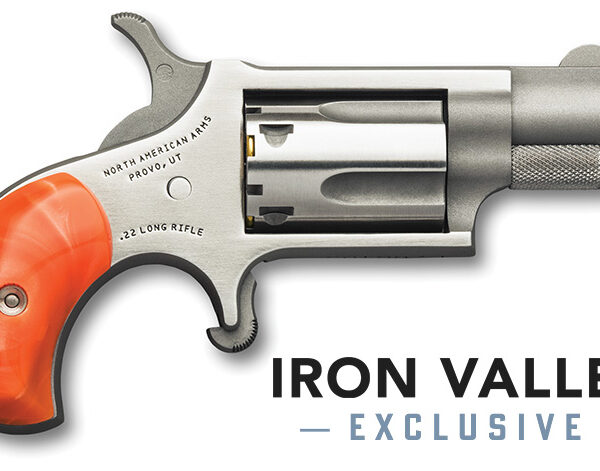 NAA Mini .22 LR SA Revolver 1.125in Stainless Orange Pearl Grip 5rd