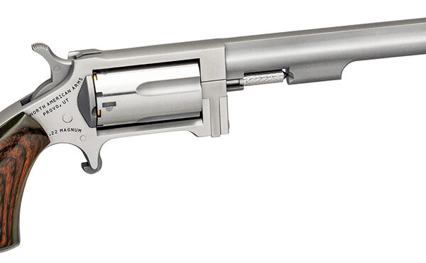NAA Sidewinder .22 WMR/.22 LR Convertible SA 4in Stainless 5rd