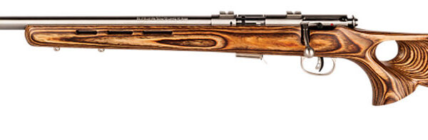 Savage Axis .17 HM2 21″ Stainless Bolt-Action Rifle