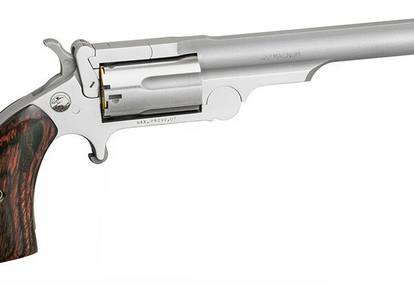 NAA Ranger II .22 WMR/.22 LR Convertible Break-Top SA 4in SS 5rd