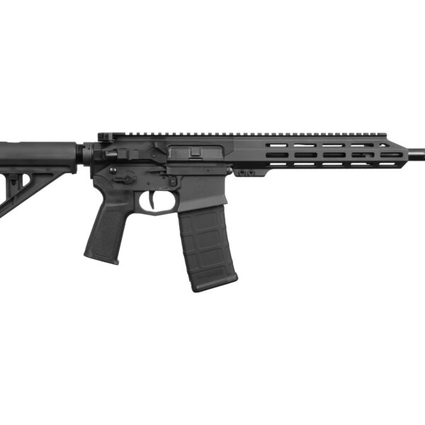 US Palm Storm Cat4 5.56x45mm NATO Semi-Auto 16.0″ Barrel