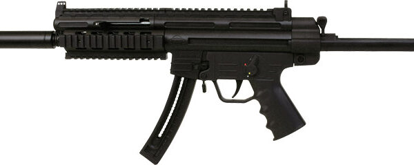 Blue Line Global AR-15 .22 LR 16.25″ Barrel Semi-Auto Rifle