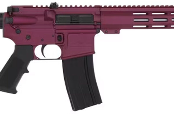 Great Lakes AR-15 .223 WYLDE 16″ Barrel Semi-Auto Rifle