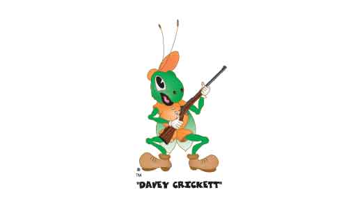 Crickett CPR .22 LR Single Shot Bolt-Action 16.1″ Youth Rifle Synthetic