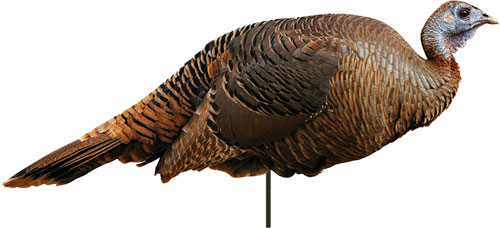 MONTANA DECOY TURKEY SPRING – FLING HEN