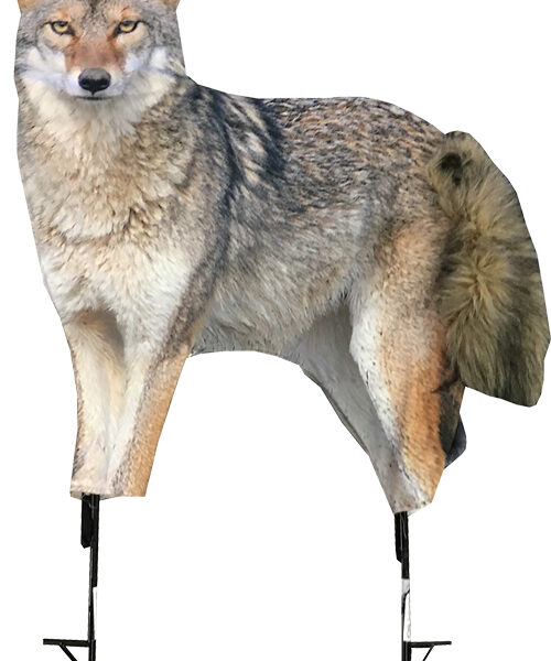 MONTANA DECOY COYOTE SONG DOG