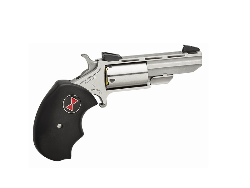 NAA Black Widow .22 WMR Single-Action Revolver 2in Stainless FS 5rd