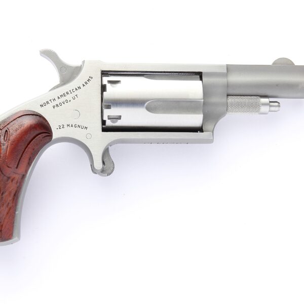 NAA Mini .22 LR/.22 WMR Eagle Grip 1.625in Stainless SA 5rd