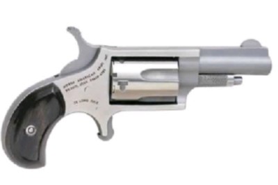NAA Mini .22 WMR SA Revolver 1.625in Stainless Black Pearl Grip 5rd
