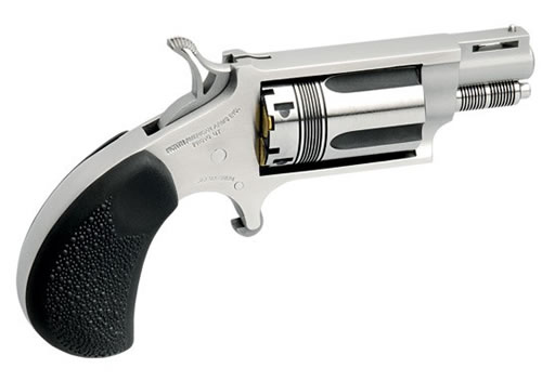 NAA The Wasp .22 WMR/.22 LR Convertible 1.125in Stainless 5rd