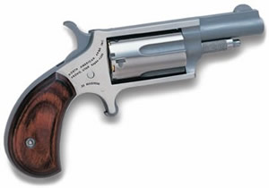 NAA Mini .22 WMR/.22 LR Convertible Revolver 1.625in Stainless 5rd