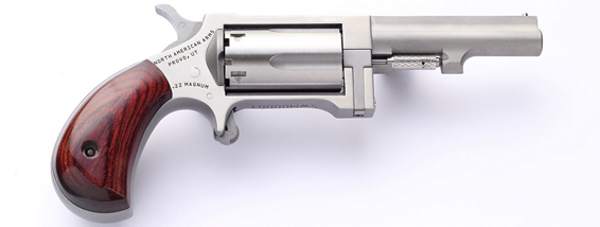 NAA Sidewinder .22 WMR Single-Action Revolver 2.5in Stainless 5rd