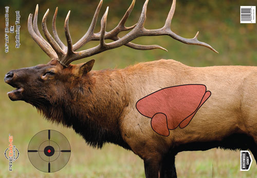 B/C TARGET PREGAME 16.5″X24″ – ELK TARGET 3-TARGETS
