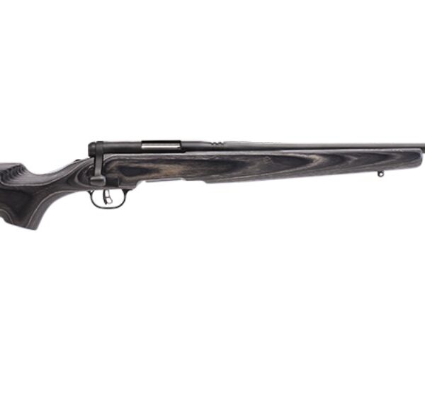 Savage Arms B.Mag .17 WSM Bolt-Action Rifle 22″ Laminate Stock