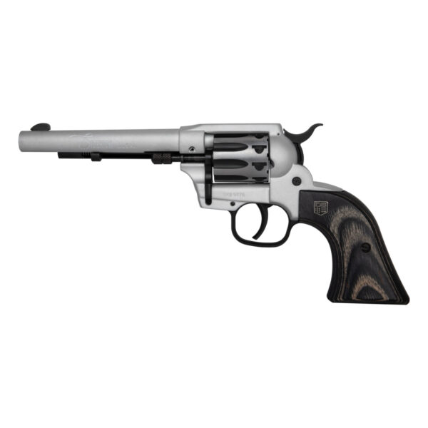 Diamondback Firearms Sidekick 22LR/22M Silver 5.5″ .22 LR