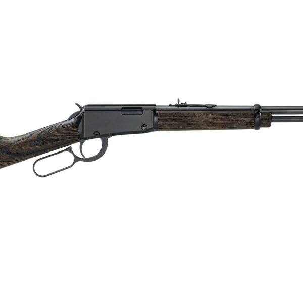 Henry H1 Garden Gun .22 WMR Lever-Action 18.5″ Shot Capsule Blued Walnut