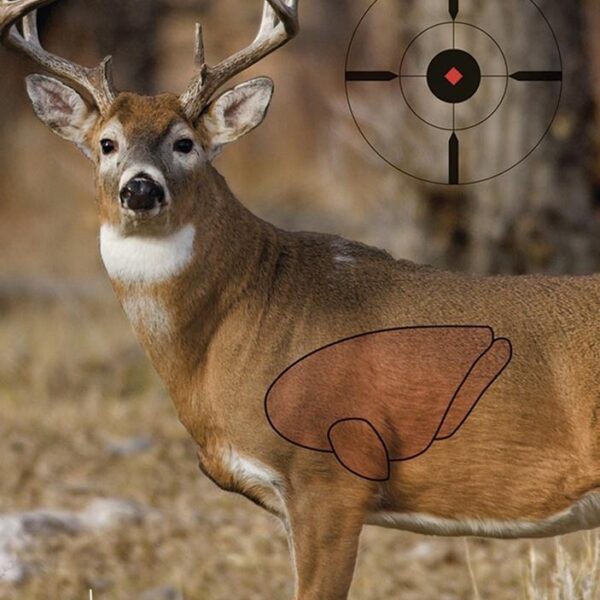 Birchwood Casey Pregame Targets – Deer 16.5″x24″ 3 Pack