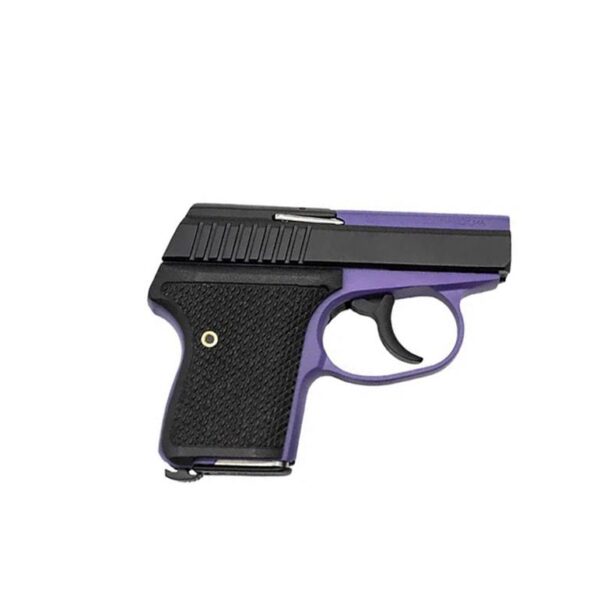 L.W. Seecamp LWS-380 .380 ACP 2″ 6-Round Polished Stainless Semi-Auto Pistol