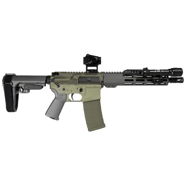 Shark Coast Tactical Bugbear 5.56mm AR Pistol 10.5” Bundle — Vortex Optic & Light