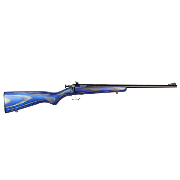 Crickett .22 LR Single Shot Bolt-Action 16.1″ Blued Youth Rifle Synthetic