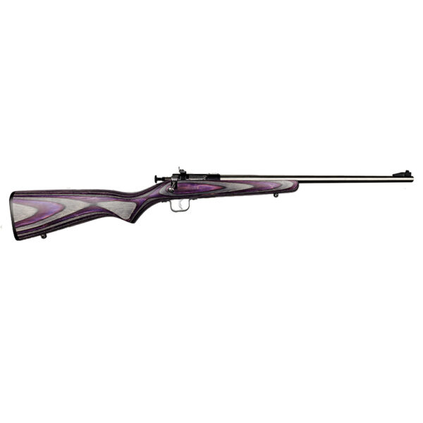 Crickett .22 LR Single Shot Bolt-Action 16.1″ Stainless Youth Rifle Purple