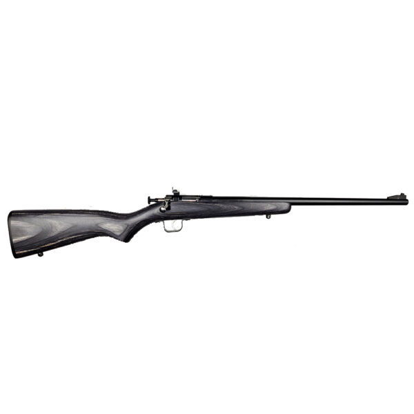 Crickett .22 LR Single Shot Bolt-Action 16.1″ Blued Youth Rifle Black