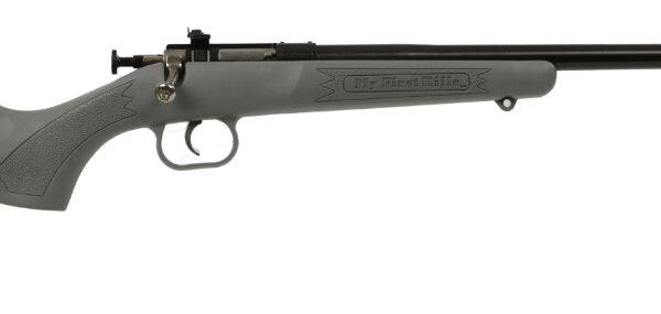Crickett .22 LR Single Shot Bolt-Action 16.1″ Blued Youth Rifle Gray