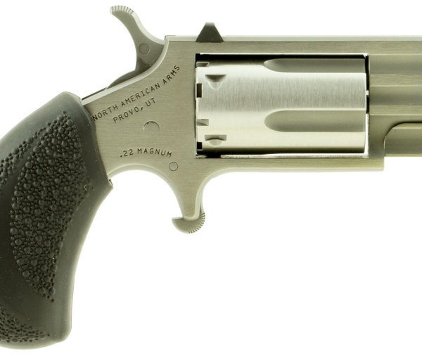 NAA Pug .22 WMR Single-Action Revolver 1in Stainless Ported 5rd
