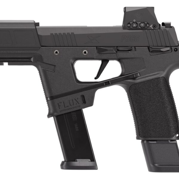 SIG Sauer P365 9mm Luger Striker-Fired 10+1
