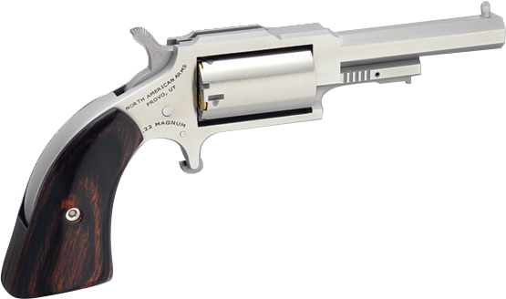 NAA Sheriff .22 LR/.22 WMR Convertible SA Revolver 2.5in Stainless 5rd