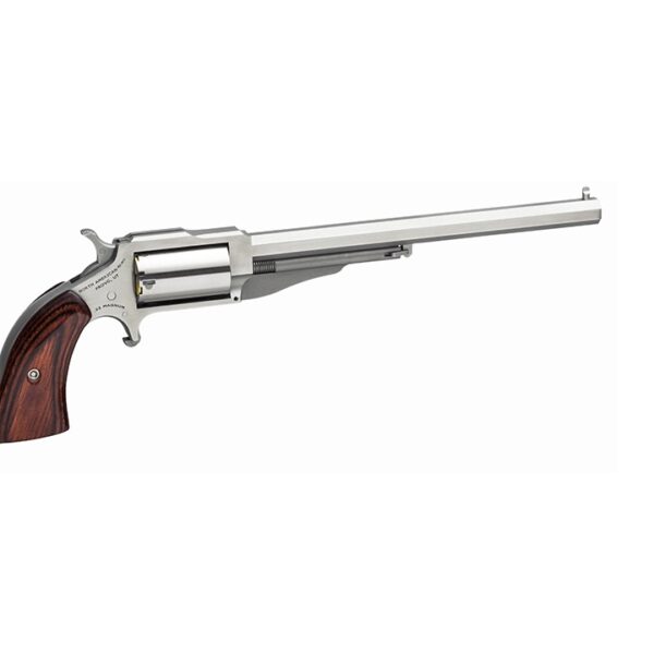 NAA The Earl .22 WMR Single-Action Revolver 6in Stainless 5rd