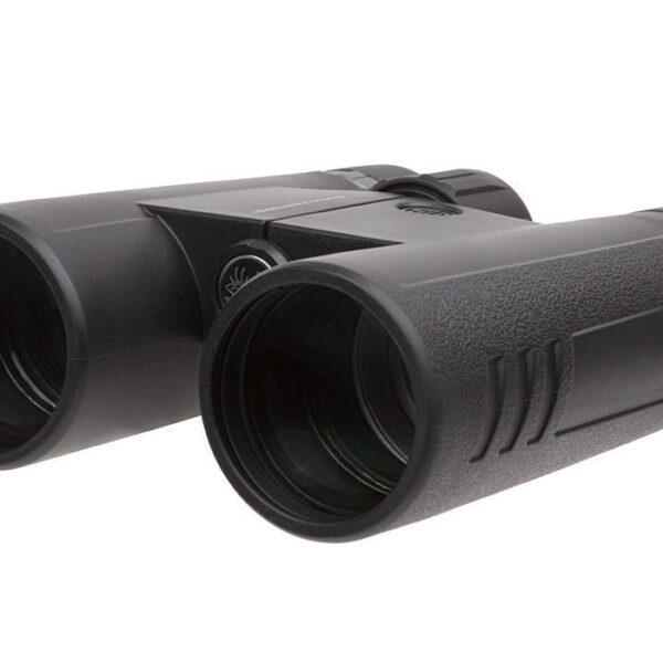 SIG SAUER BUCKMASTERS BINO 10X42 BLK