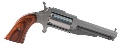 NAA The Earl .22 WMR SA Revolver 3in Stainless Octagonal 5rd