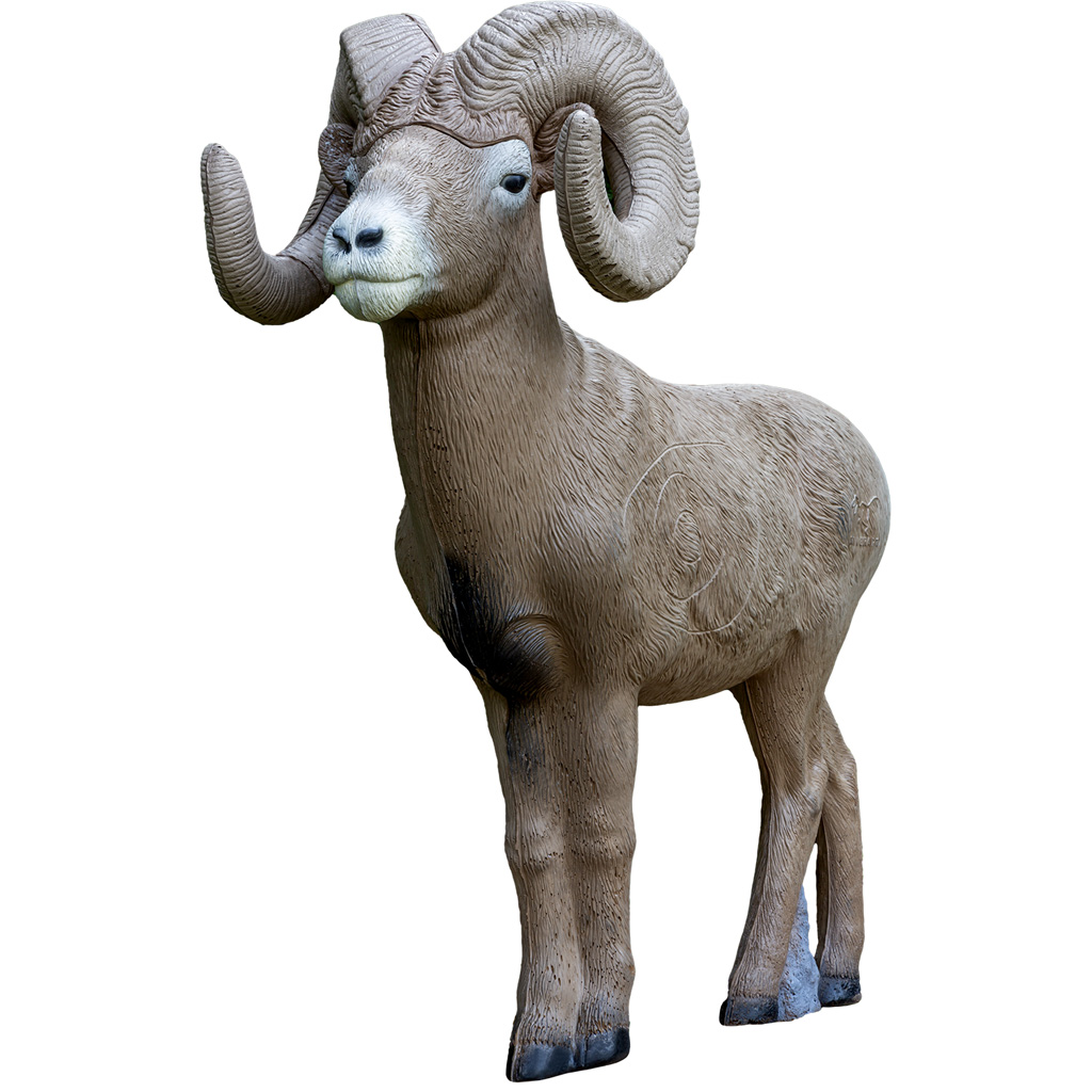 Rinehart 1/2 Scale Signature Bighorn Sheep Target